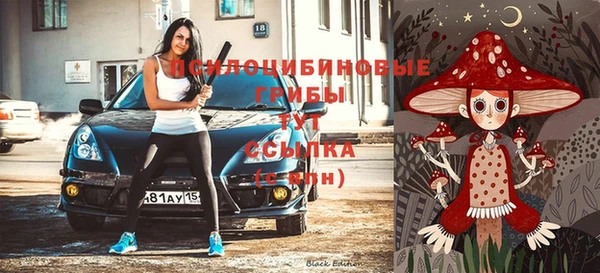 2c-b Рославль