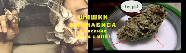 spice Верея