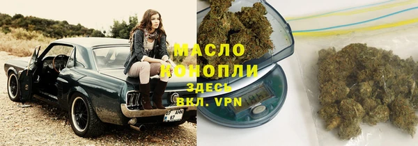 метадон Богданович