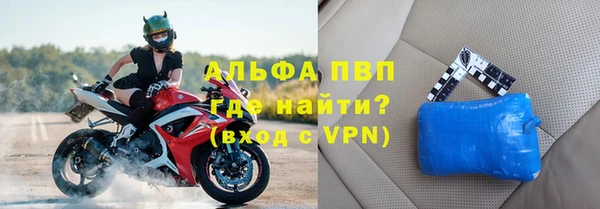 стафф Россошь